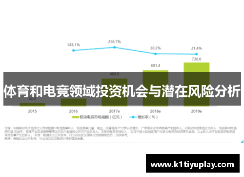 体育和电竞领域投资机会与潜在风险分析