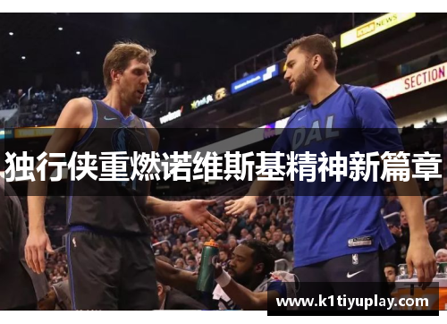独行侠重燃诺维斯基精神新篇章