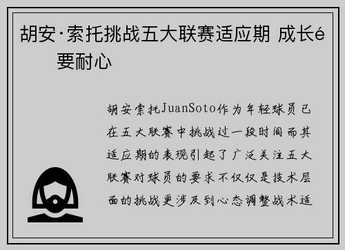 胡安·索托挑战五大联赛适应期 成长需要耐心